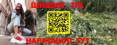 гашик Кимры