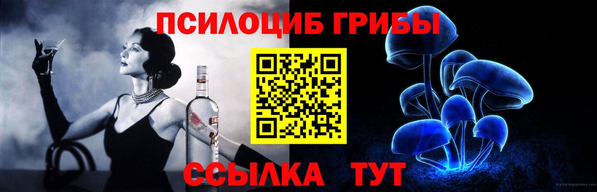Псилоцибиновые грибы Psilocybine cubensis Якутск
